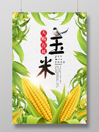 简约卡通农产品玉米玉米汁促销海报